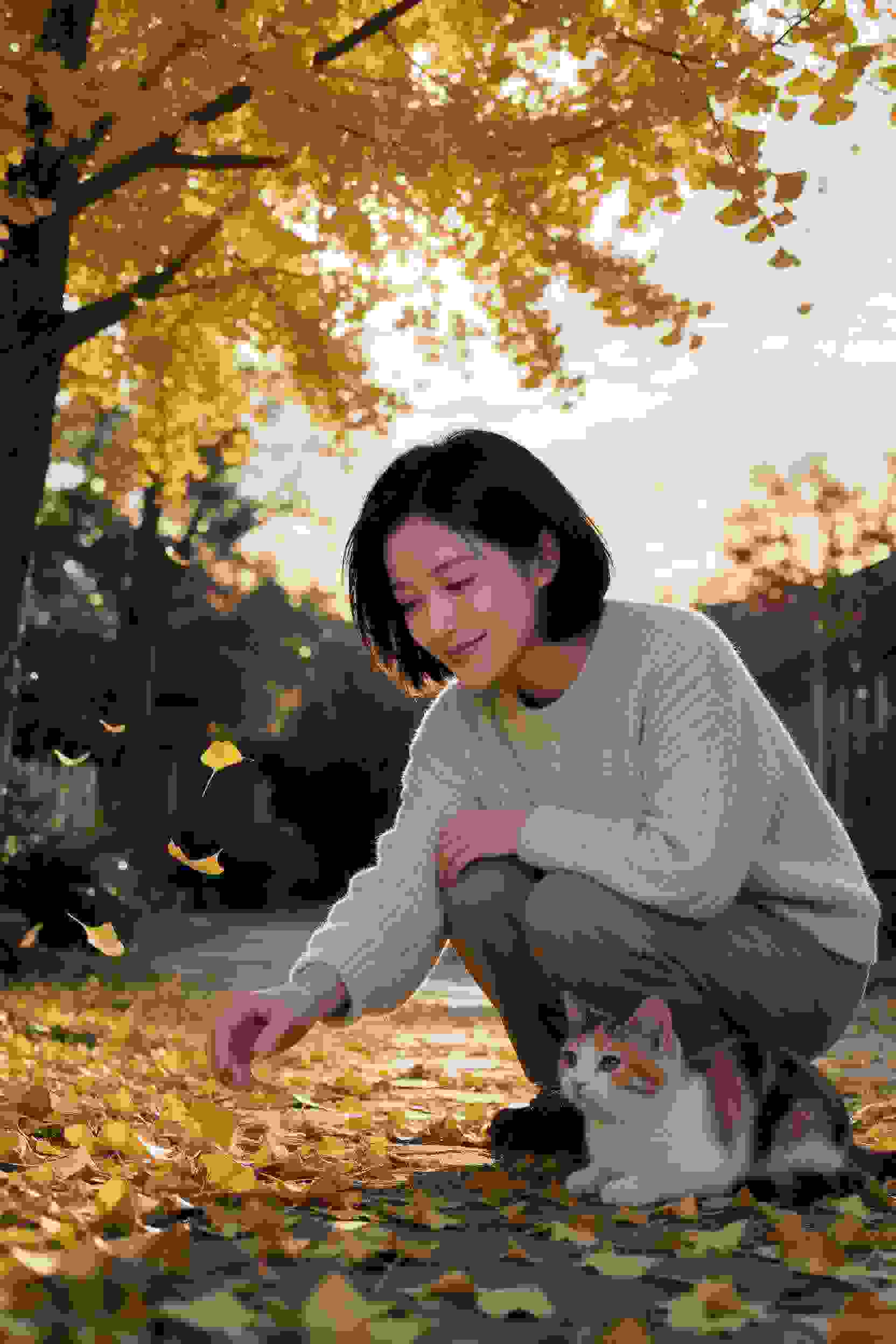 我的英雄学院